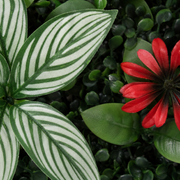Panneau de mur végétal artificiel fleuri – Tropical 40 × 60 cm