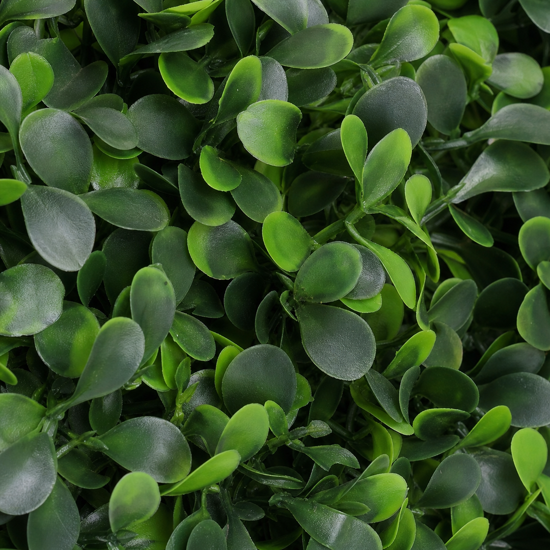 Panneau de mur végétal artificiel – Buis 40 × 60 cm
