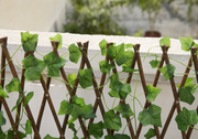 Brise-vue extensible en lierre artificiel – 230 cm